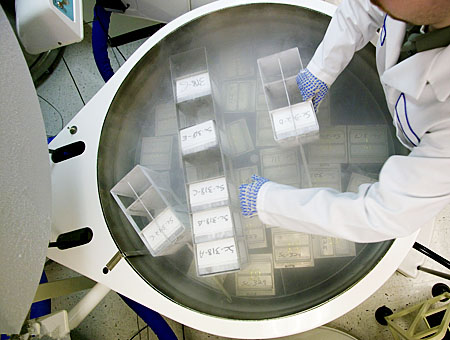 東莞市中碳新能源科技集團(tuán)有限公司