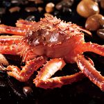 首鮮道客戶案例