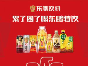 東鵬特飲客戶案例