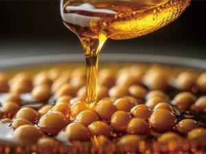 金龍魚客戶案例