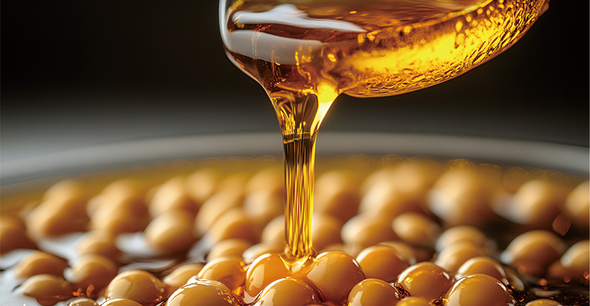 金龍魚客戶案例