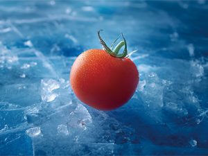 冷鏈倉儲如何解決生鮮痛點(diǎn)