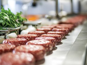 ??牛羊肉片切生產(chǎn)線 效率快速提升